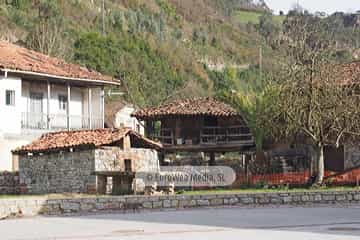 Bueño