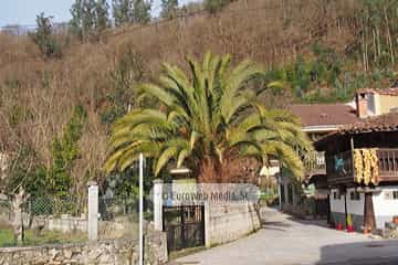 Bueño
