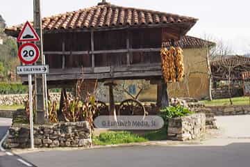 Bueño