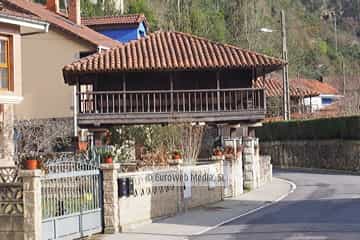 Bueño
