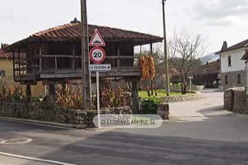 Bueño