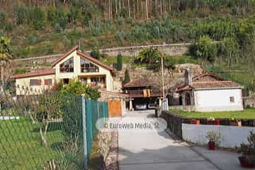 Bueño