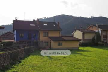 Bueño