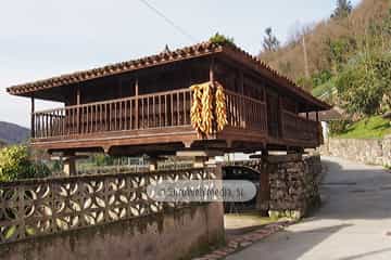 Bueño