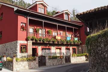 Bueño