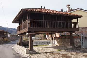 Bueño
