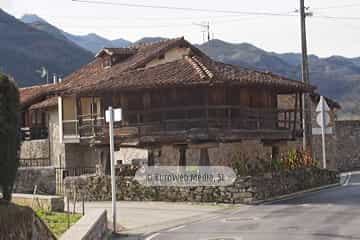 Bueño