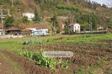 Bueño