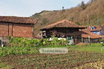 Bueño