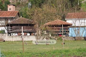 Bueño