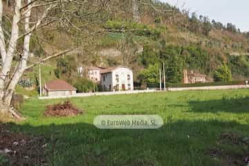 Bueño