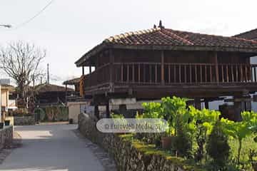 Bueño