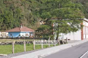 Bueño