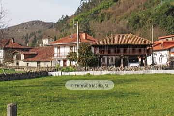 Bueño