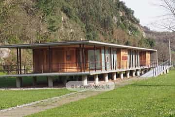 Bueño