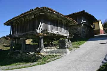 La Focella