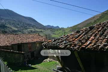 La Focella