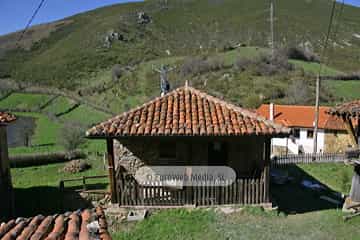 La Focella
