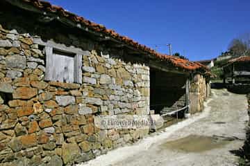 La Focella