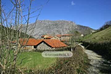 La Focella