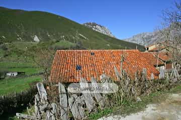 La Focella