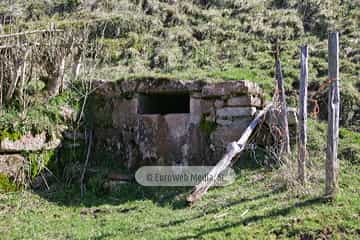 La Focella
