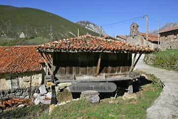 La Focella