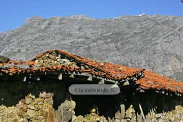 La Focella