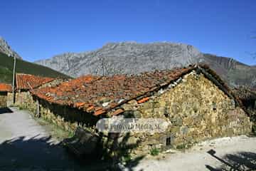 La Focella