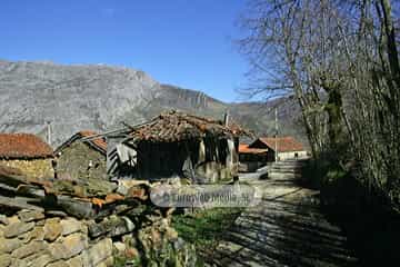 La Focella
