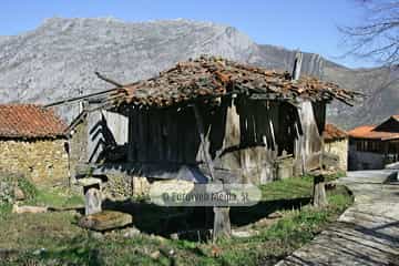 La Focella