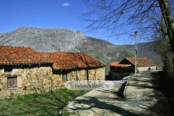 La Focella