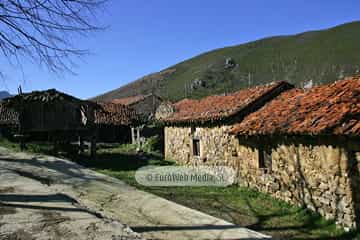 La Focella