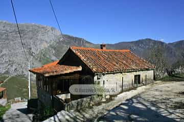 La Focella