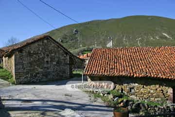 La Focella