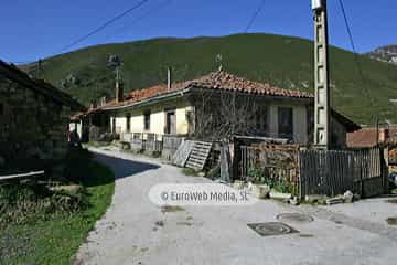 La Focella