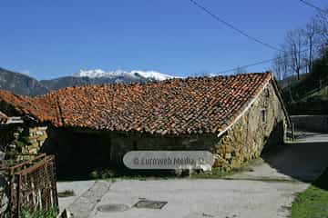 La Focella