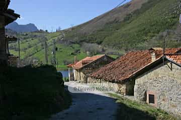 La Focella
