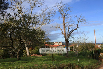 Poreñu