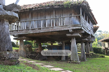Poreñu