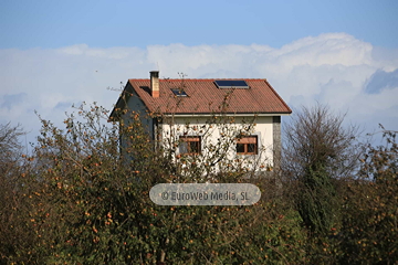 Poreñu