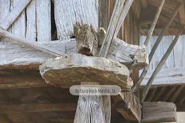 Poreñu