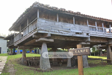 Poreñu