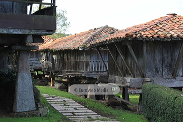 Poreñu
