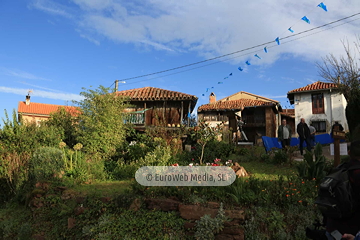 Poreñu