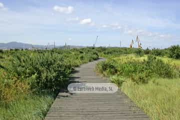 Charca de Zeluán y Ensenada de Llodero. Monumento Natural Charca de Zeluán y Ensenada de Llodero
