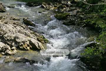 Río Sella (Cangas de Onís). Río Sella
