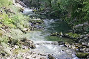 Río Sella (Cangas de Onís). Río Sella