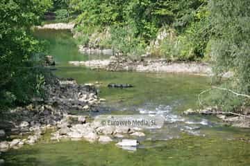 Río Sella (Cangas de Onís). Río Sella
