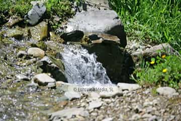 Parque Natural de las Fuentes del Narcea, Degaña e Ibias (Cangas del Narcea). Parque Natural de las Fuentes del Narcea, Degaña e Ibias